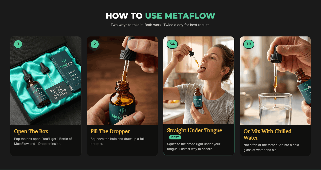 How To Use MetaFlow